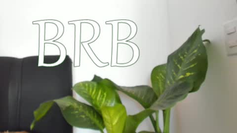 Snapshot of nayah_williams chatting on December 7, 2024, 4:36 pm Nayah Williams - OnlyFans online show from December 7, 2024, 4:36 pm