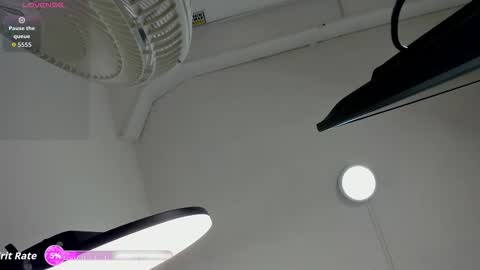 nayara_macherano online show from December 22, 2025, 11:18 am