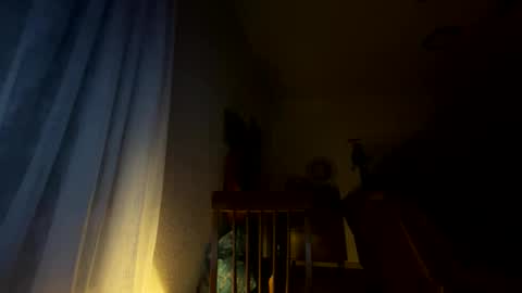 nboss55 online show from October 8, 2025, 5:16 am