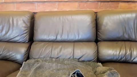 Matilda online show from December 4, 2025, 11:52 am