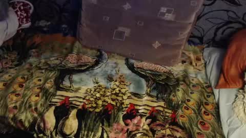 Lilly  online show from April 22, 2026, 2:58 am