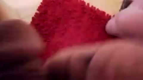 Snapshot of newbookwriter chatting on December 13, 2024, 8:20 am BookWriter online show from December 13, 2024, 8:20 am