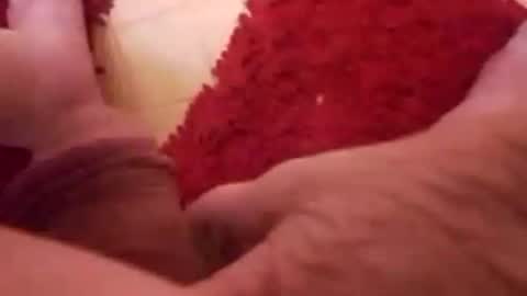 Snapshot of newbookwriter chatting on January 8, 2025, 6:52 am BookWriter online show from January 8, 2025, 6:52 am