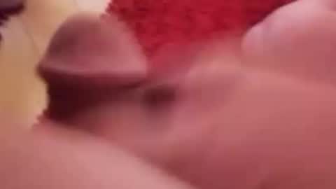 Snapshot of newbookwriter chatting on January 14, 2025, 7:06 am BookWriter online show from January 14, 2025, 7:06 am