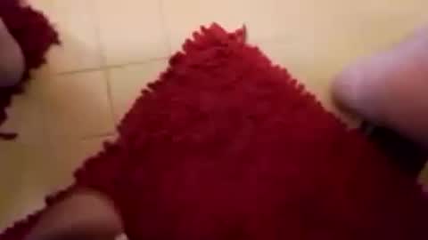 Snapshot of newbookwriter chatting on February 15, 2025, 7:38 am BookWriter online show from February 15, 2025, 7:38 am