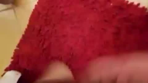 Snapshot of newbookwriter chatting on September 14, 2025, 4:55 am BookWriter online show from September 14, 2025, 4:55 am