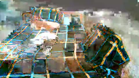 Lucy Pearl online show from January 7, 2025, 11:16 am