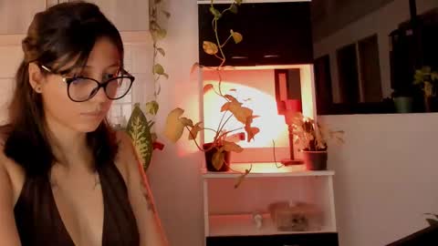 day  online show from October 26, 2025, 1:11 am