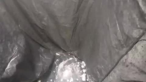 nicholasjesse51 online show from September 27, 2025, 9:03 am