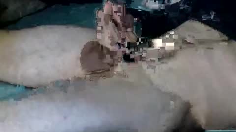 Snapshot of nickanonymous1034 chatting on October 12, 2025, 11:20 am Nick online show from October 12, 2025, 11:20 am