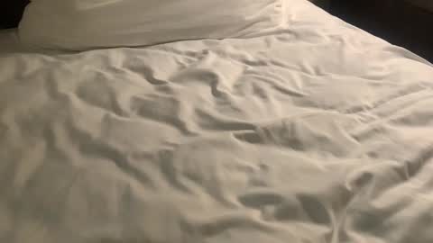 Nick Zoos online show from January 29, 2025, 9:55 am