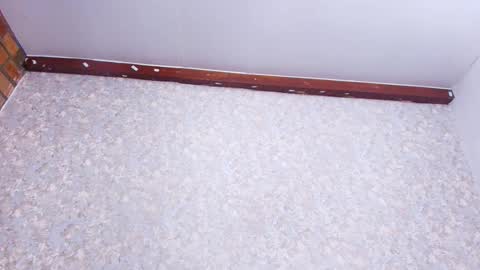 Nicol online show from November 21, 2025, 3:05 am