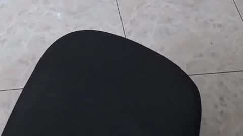 Nicole Santana online show from February 4, 2025, 8:13 am