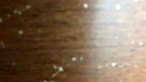 nightmoves1970 online show from February 18, 2026, 3:46 am