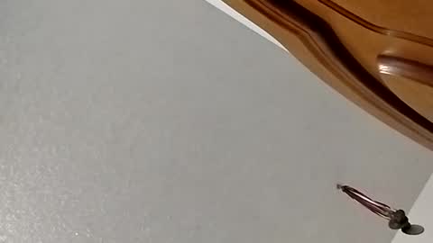 Snapshot of nightnightlol chatting on February 11, 2025, 3:08 pm nightnightlol online show from February 11, 2025, 3:08 pm