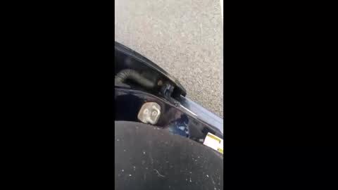 nikivega4u online show from March 7, 2026, 12:24 pm