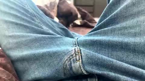 Snapshot of nikk3032 chatting on February 25, 2025, 10:47 am NIk online show from February 25, 2025, 10:47 am