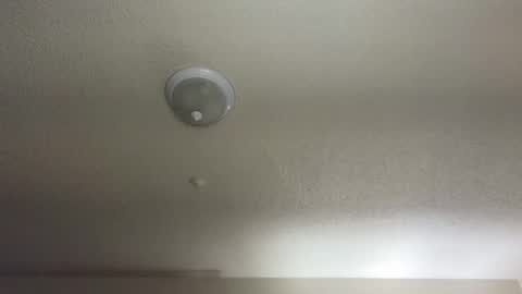 Snapshot of nikkimasters1091 chatting on February 11, 2025, 10:48 am Nikki Mastersgirl1091 online show from February 11, 2025, 10:48 am