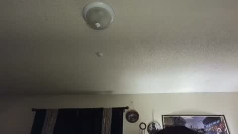 Snapshot of nikkimasters1091 chatting on February 25, 2025, 2:00 pm Nikki Mastersgirl1091 online show from February 25, 2025, 2:00 pm