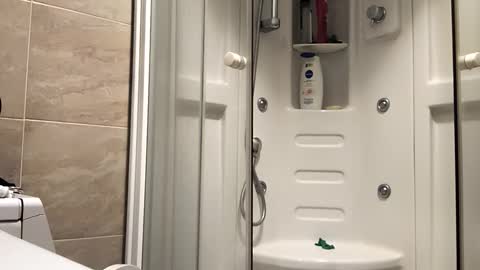 Niks online show from December 15, 2025, 4:28 am