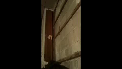 nillapuddin2 online show from January 18, 2026, 2:48 am