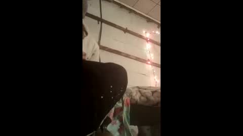 nillapuddin2 online show from January 19, 2026, 12:47 am