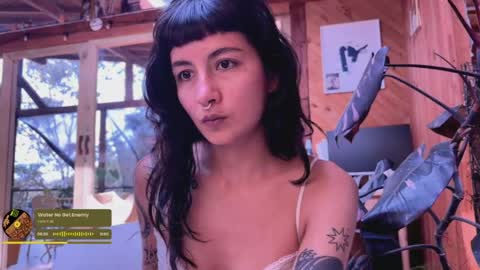 Nina.  online show from May 11, 2026, 7:44 pm