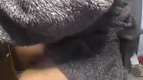 nineinchhard online show from December 21, 2024, 11:55 am