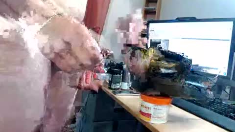 ninetynine_99 online show from June 17, 2026, 5:25 pm