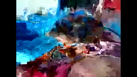 Nisha online show from December 29, 2024, 2:49 am