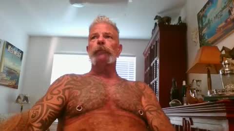 Snapshot of njdbear chatting on November 1, 2025, 9:28 pm Don online show from November 1, 2025, 9:28 pm