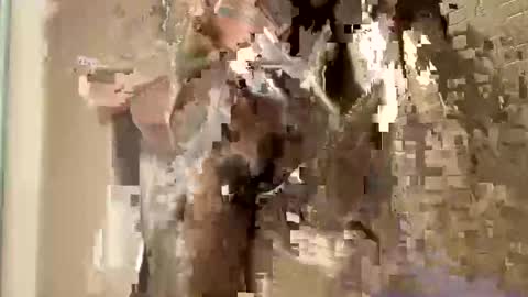 Snapshot of nnm110 chatting on February 9, 2025, 9:37 am nnm110 online show from February 9, 2025, 9:37 am