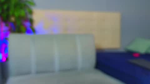 Snapshot of noah_coleman__ chatting on February 9, 2025, 8:33 am NOAH  online show from February 9, 2025, 8:33 am