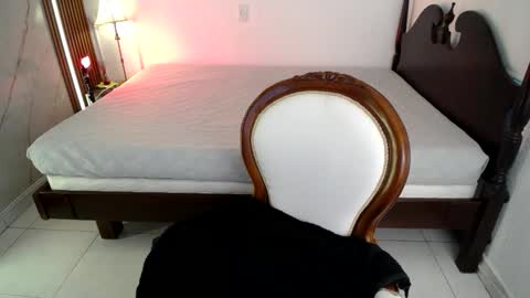 Snapshot of noah_jhonson__ chatting on March 24, 2026, 7:41 pm Noah online show from March 24, 2026, 7:41 pm