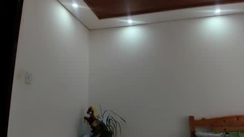 Snapshot of noahbrawn chatting on October 24, 2025, 1:29 pm LIAM- noah online show from October 24, 2025, 1:29 pm