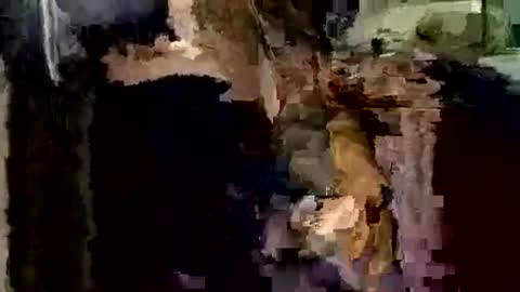 nocturnus1980 online show from December 1, 2025, 4:06 am