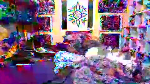 Jonny Coxman online show from December 19, 2025, 2:24 pm