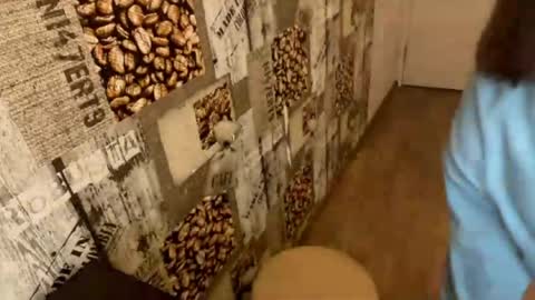 Abri online show from March 22, 2026, 1:03 pm