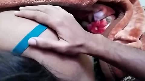 sim  nib online show from December 26, 2024, 6:52 am