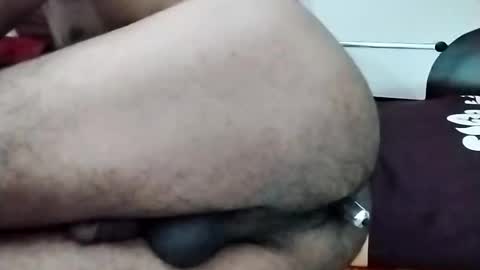 Snapshot of nooby942461 chatting on November 13, 2025, 11:42 am sim nib online show from November 13, 2025, 11:42 am