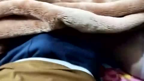 sim  nib online show from January 12, 2026, 9:09 pm