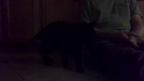 Noodles online show from January 16, 2026, 1:04 pm