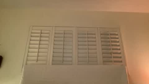 noscandal online show from November 14, 2025, 5:06 am