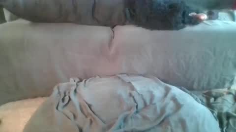 Nova online show from April 19, 2026, 6:10 pm