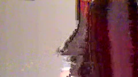 Snapshot of novahexx chatting on April 13, 2026, 1:22 am novahexx online show from April 13, 2026, 1:22 am