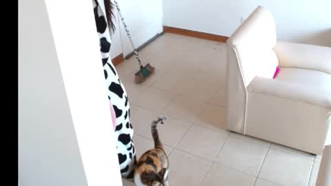 Snapshot of novaperotti chatting on September 14, 2025, 2:05 pm novaperotti online show from September 14, 2025, 2:05 pm