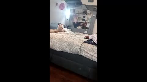 noxxsable online show from February 16, 2026, 11:17 am