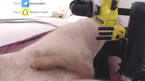 Snapshot of nuche99 chatting on November 1, 2025, 6:21 pm nuche99 online show from November 1, 2025, 6:21 pm