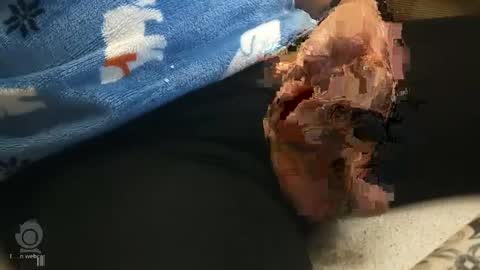 Snapshot of o0okukito0o chatting on January 12, 2025, 10:33 pm o0okukito0o online show from January 12, 2025, 10:33 pm