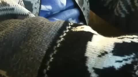 Snapshot of o0okukito0o chatting on January 14, 2025, 10:55 pm o0okukito0o online show from January 14, 2025, 10:55 pm